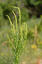 BUITEN BEELD Foto: 295230