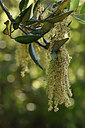 BUITEN BEELD Foto: 295231