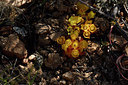 BUITEN BEELD Foto: 295235