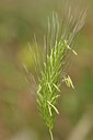 BUITEN BEELD Foto: 295239