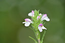 BUITEN BEELD Foto: 295250