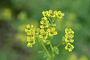 BUITEN BEELD Foto: 295259