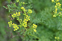 BUITEN BEELD Foto: 295260