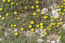 BUITEN BEELD Foto: 295268