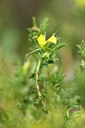 BUITEN BEELD Foto: 295272