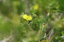 BUITEN BEELD Foto: 295273