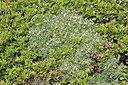 BUITEN BEELD Foto: 295277
