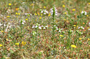 BUITEN BEELD Foto: 295279