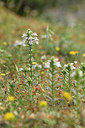 BUITEN BEELD Foto: 295280