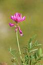 BUITEN BEELD Foto: 295286