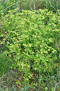 BUITEN BEELD Foto: 295287