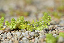 BUITEN BEELD Foto: 295297