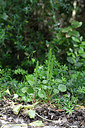 BUITEN BEELD Foto: 295308