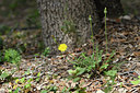 BUITEN BEELD Foto: 295316