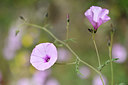 BUITEN BEELD Foto: 295317
