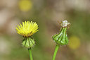 BUITEN BEELD Foto: 295319