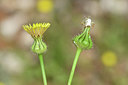 BUITEN BEELD Foto: 295320