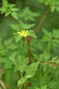 BUITEN BEELD Foto: 295324