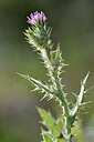 BUITEN BEELD Foto: 295328