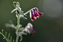 BUITEN BEELD Foto: 295333
