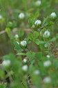BUITEN BEELD Foto: 295335