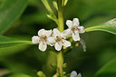 BUITEN BEELD Foto: 295340