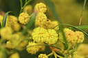 BUITEN BEELD Foto: 295346