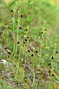 BUITEN BEELD Foto: 295354