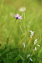 BUITEN BEELD Foto: 295360