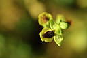BUITEN BEELD Foto: 295363