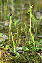 BUITEN BEELD Foto: 295374