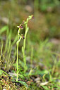 BUITEN BEELD Foto: 295375
