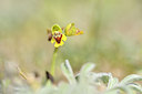 BUITEN BEELD Foto: 295396