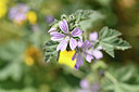 BUITEN BEELD Foto: 295427