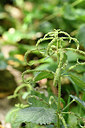 BUITEN BEELD Foto: 295432
