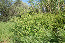 BUITEN BEELD Foto: 295458