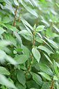 BUITEN BEELD Foto: 295462