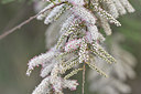 BUITEN BEELD Foto: 295482