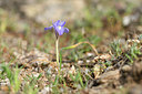 BUITEN BEELD Foto: 295490