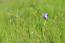 BUITEN BEELD Foto: 295512