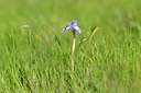 BUITEN BEELD Foto: 295514