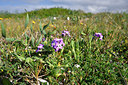 BUITEN BEELD Foto: 295535