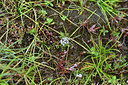 BUITEN BEELD Foto: 295546