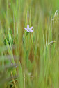 BUITEN BEELD Foto: 295559