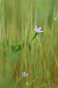 BUITEN BEELD Foto: 295560