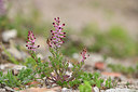 BUITEN BEELD Foto: 295565