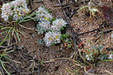 BUITEN BEELD Foto: 295580