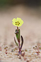 BUITEN BEELD Foto: 295586