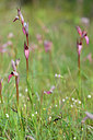 BUITEN BEELD Foto: 295598