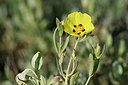BUITEN BEELD Foto: 295605
